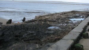 Maintenace-in-2009-exposure-of-sleepers-rails